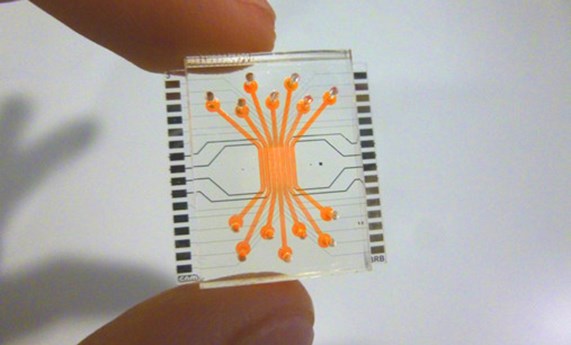 Un microchip microfluídico reproduce la barrera de la retina humana