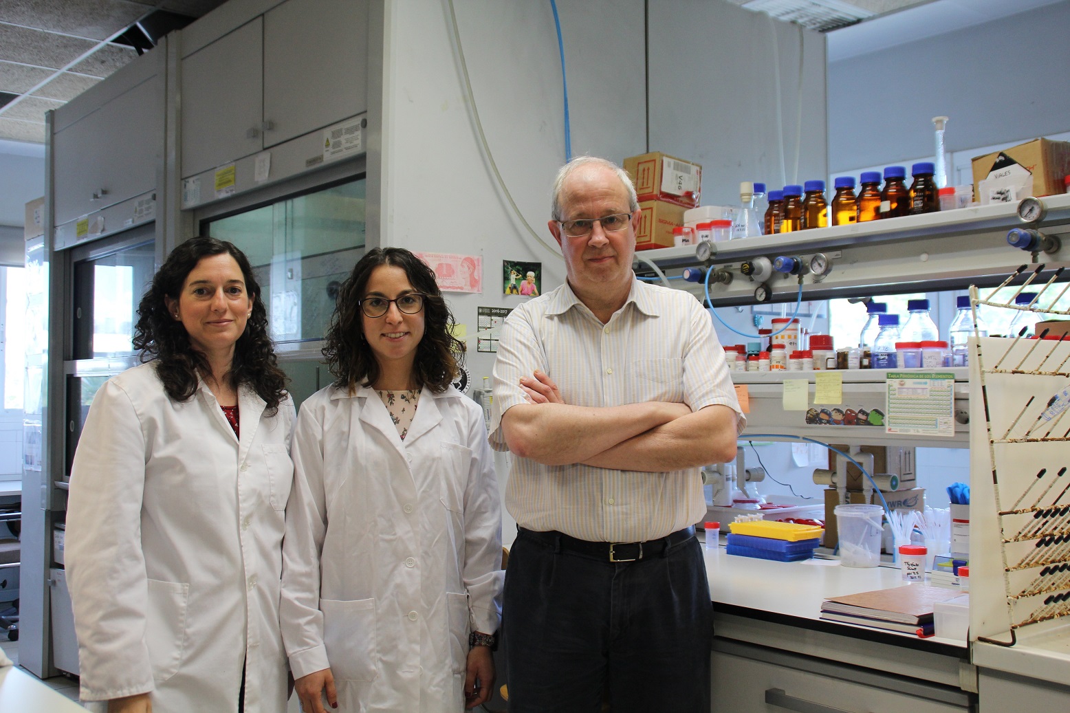 Un nuevo material permite el diagnóstico rápido de infecciones producidas por Candida albicans