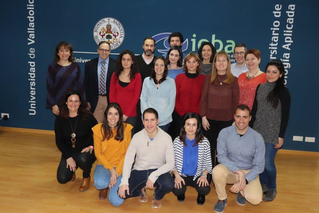 Prueban el uso de células madre mesenquimales para tratar la ceguera por deficiencia de células madre epiteliales de la córnea