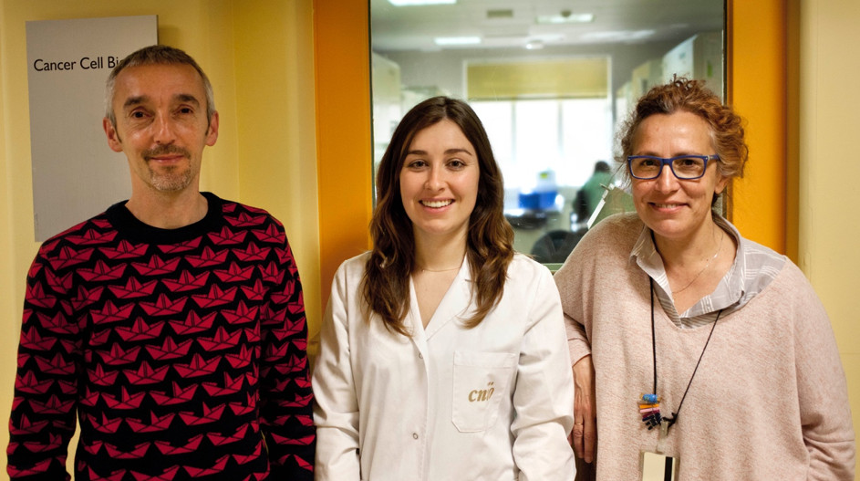 Identifican un nuevo gen implicado en el desarrollo de un tumor endocrino raro