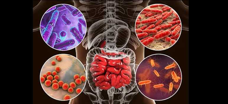 Nuevo Laboratorio de Microbiota del IDISSC para servicios de metagenómica