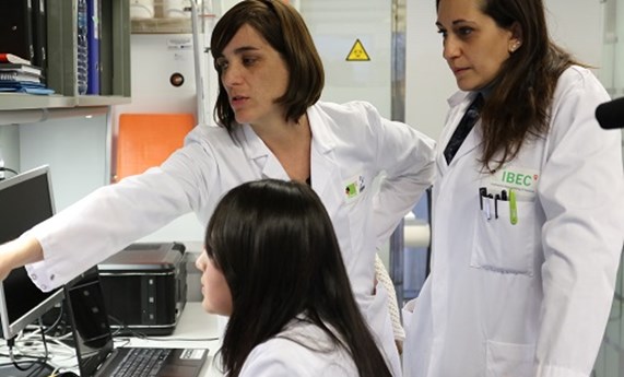 Nuria Montserrat abre el Congreso de la Sociedad Valencia de Nefrología: microorganoides para el manejo de las enfermedades renales