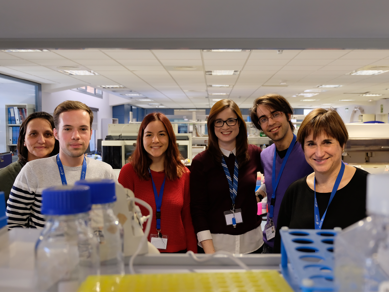 Identifican un nuevo fármaco para regenerar células beta en diabetes tipo 1 usando inteligencia artificial