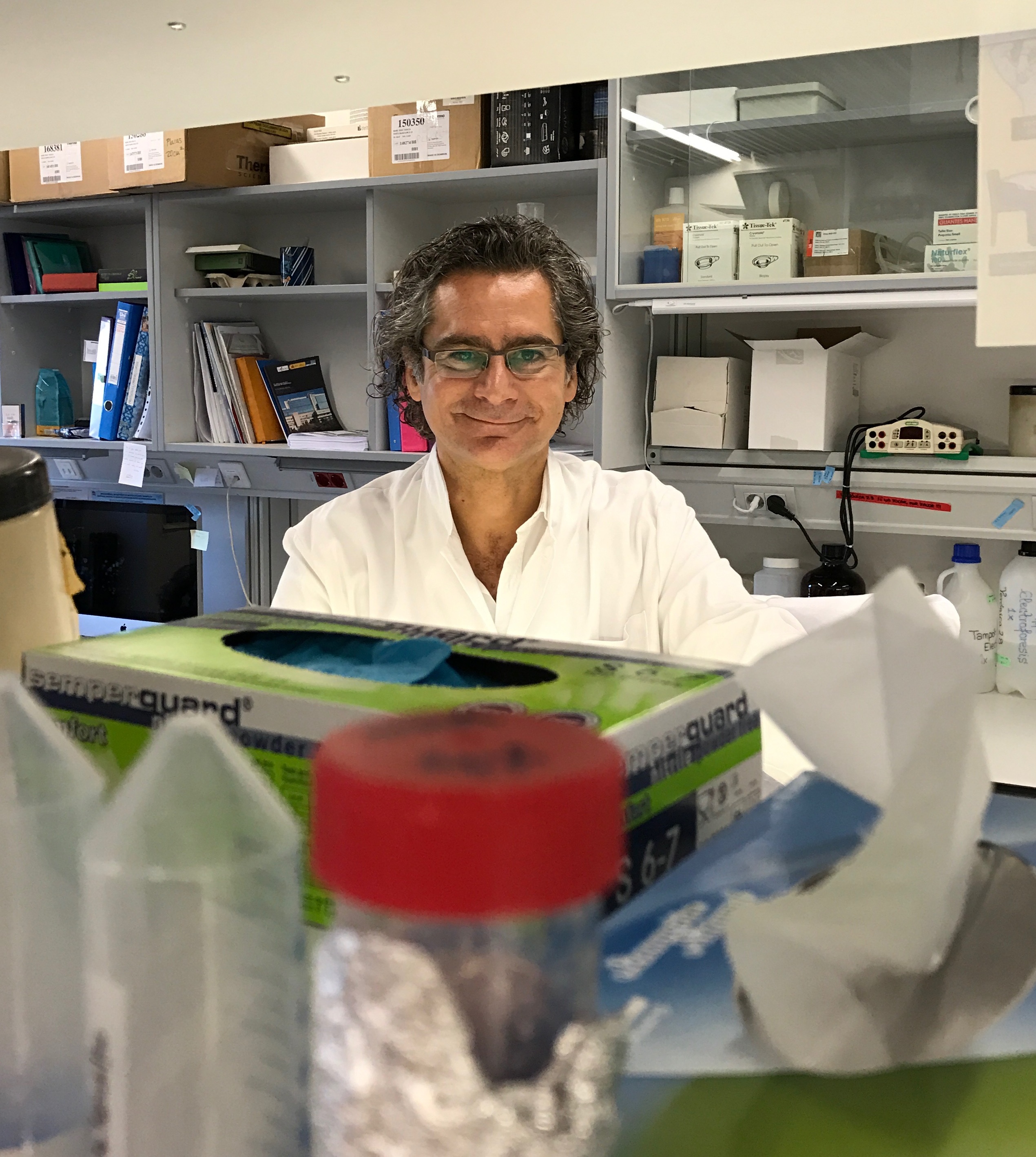 La proteína WRAP53 promueve la supervivencia neuronal y la recuperación funcional después de un accidente cerebrovascular