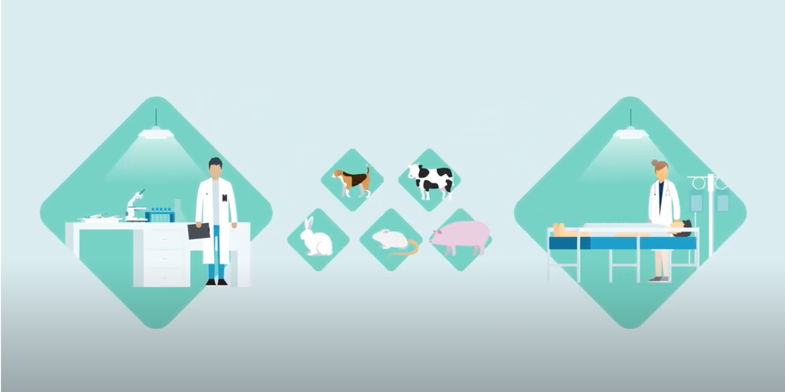 Un estudio del CIBERER destaca el gran valor de los modelos animales para la investigación en enfermedades raras