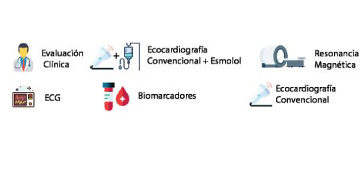 El CIBERCV coordina el proyecto bB-ECHO para estudiar la eficacia del esmolol en la identificación de alteraciones cardiovasculares