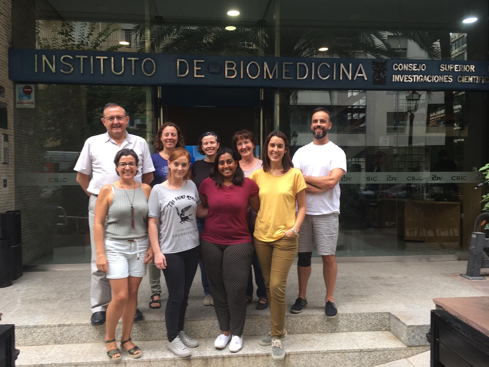 Identifican en astrocitos una posible causa de la epilepsia de la enfermedad de Lafora