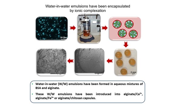 Estudian la encapsulación de gotas de emulsiones agua-en-agua como potenciales vehículos de administración de principios activos