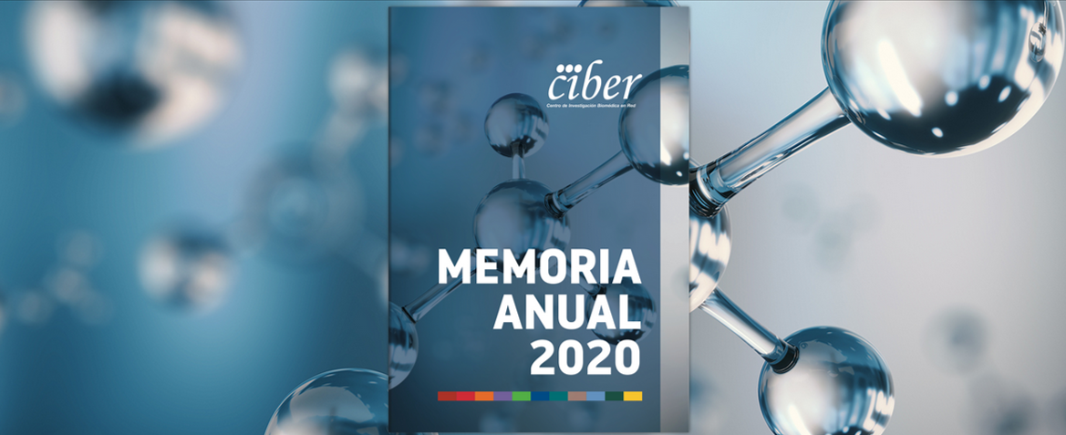 Disponible Memoria CIBER 2020