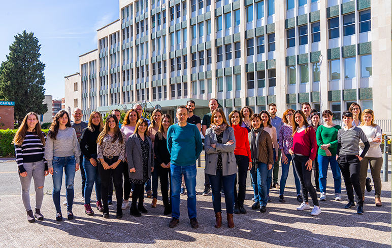 El succinato, un metabolito que podría ser clave en el desarrollo de nuevos tratamientos para la diabetes o la obesidad