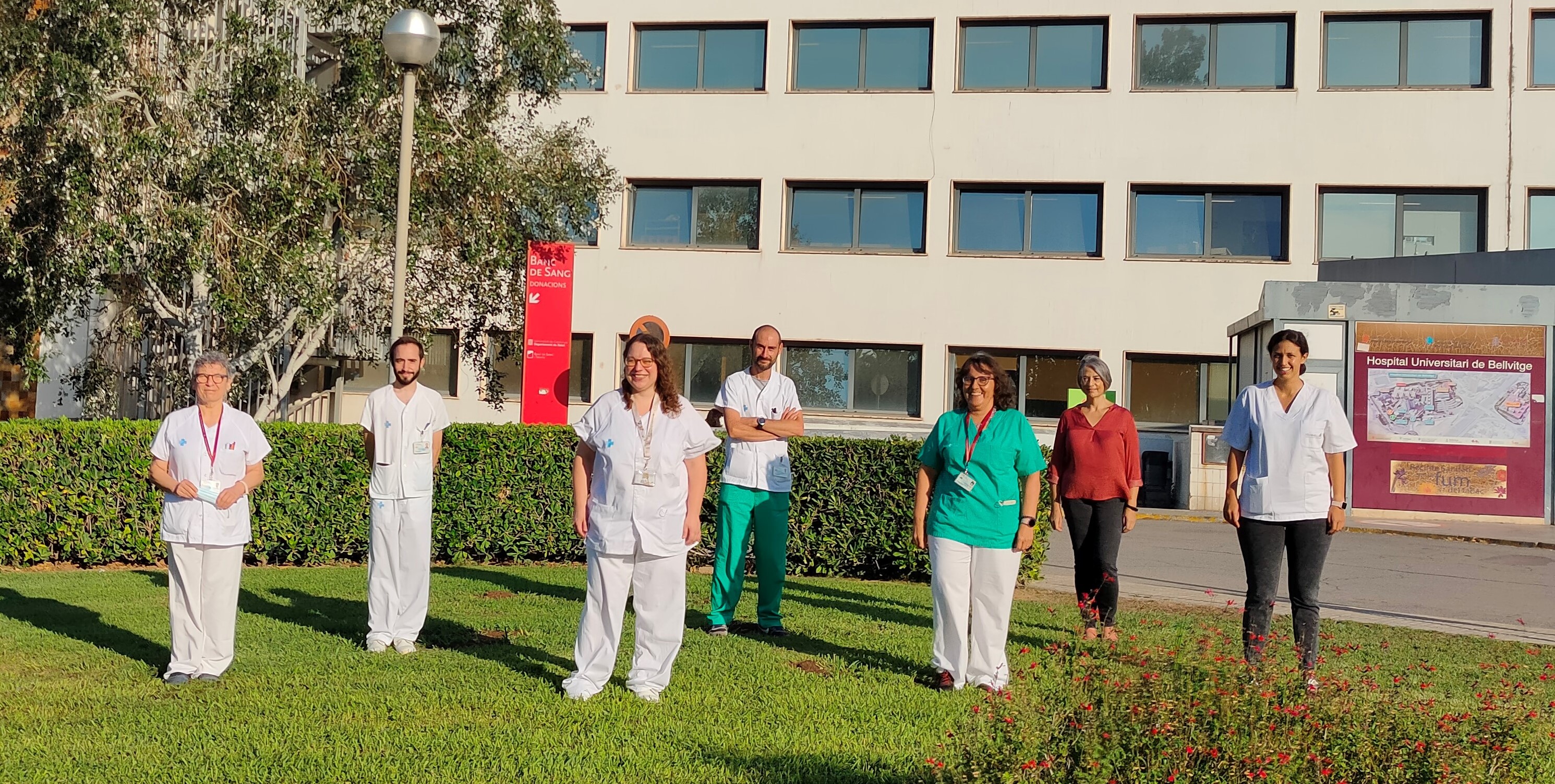 Describen los elementos genéticos móviles que diseminan la resistencia a macrólidos en Streptococcus pyogenes