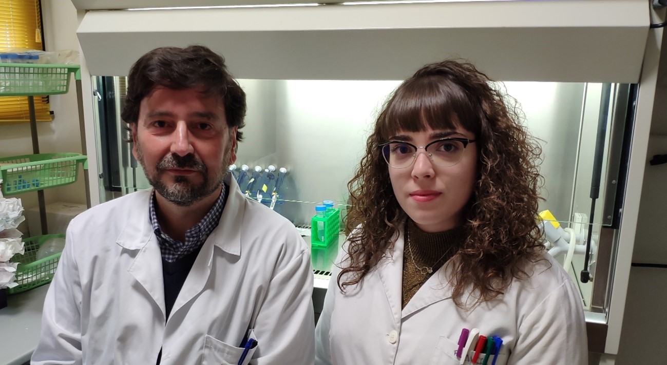 Identifican el potencial pronóstico de FOXO3 en el carcinoma hepatocelular