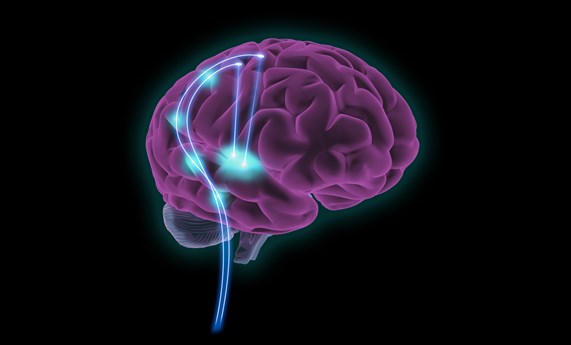 Nuevas sondas neuronales basadas en grafeno mejoran la detección de señales cerebrales epilépticas