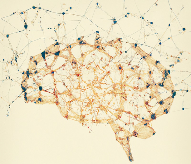 Hallan una proteína implicada en el desarrollo de la esquizofrenia