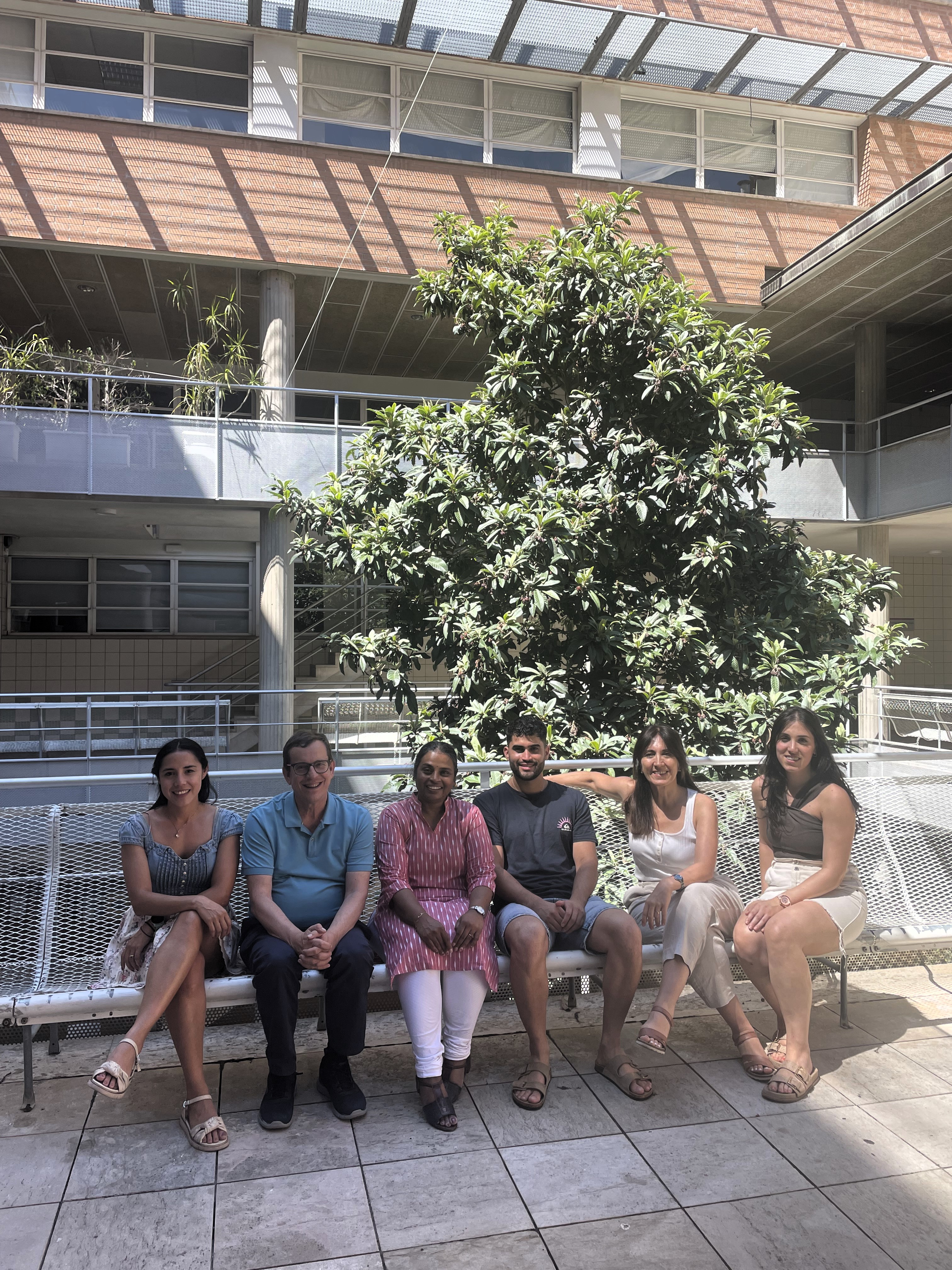 Relacionan una mayor diversidad alimentaria con un menor riesgo de mortalidad en personas mayores