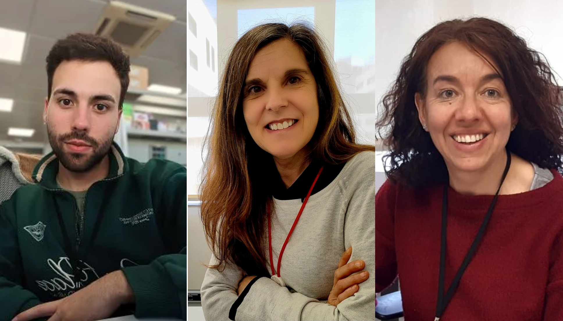 Un extracto de la aceituna reduce el daño oxidativo y la inflamación en personas con sobrepeso y prediabetes