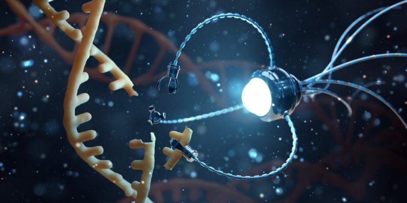 Temas de Investigación