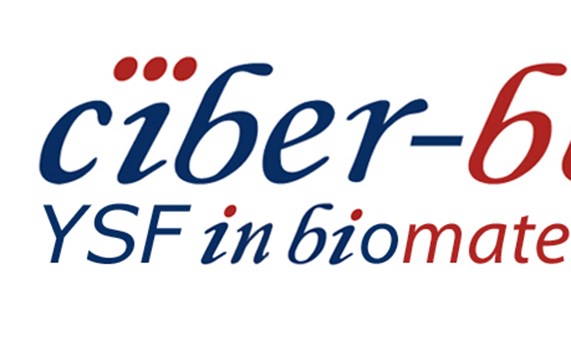Nueva convocatoria del Premio CIBER-BBN YSF in Biomaterials 2015