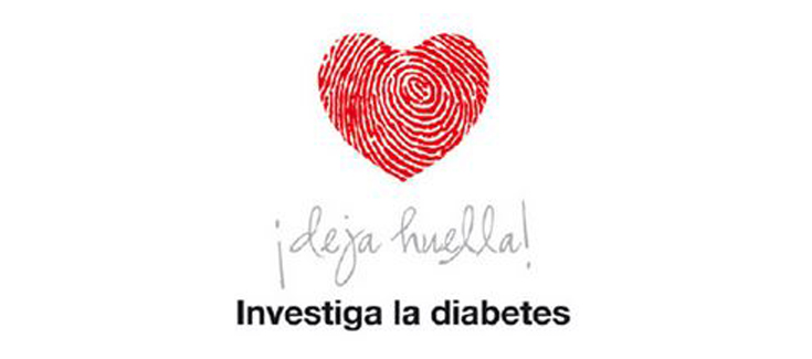 «Investiga la Diabetes» colabora impulsando la investigación del CIBERDEM