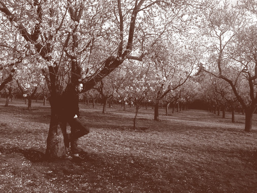 Sentirse solo es peor para la salud que estar solo