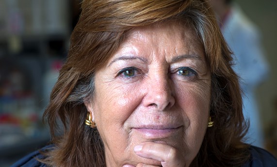 La investigadora María Vallet recibe una Advanced Grant