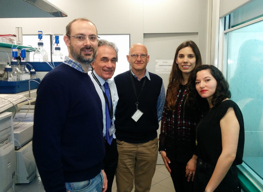 Un nuevo tipo de sonda fluorescente facilita el diagnóstico de infecciones fúngicas