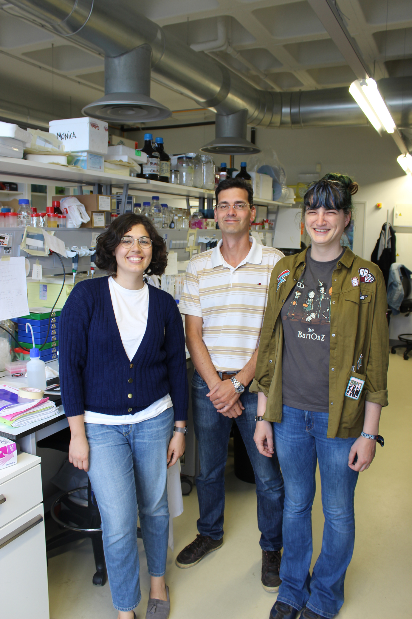 Descubren un mecanismo cerebral que abre la puerta a curar la enfermedad del hígado graso