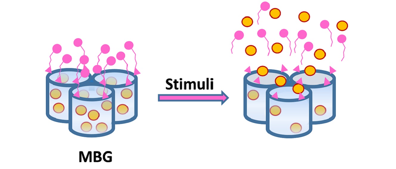 Idean nuevos implantes para el tratamiento de infecciones y tumores óseos