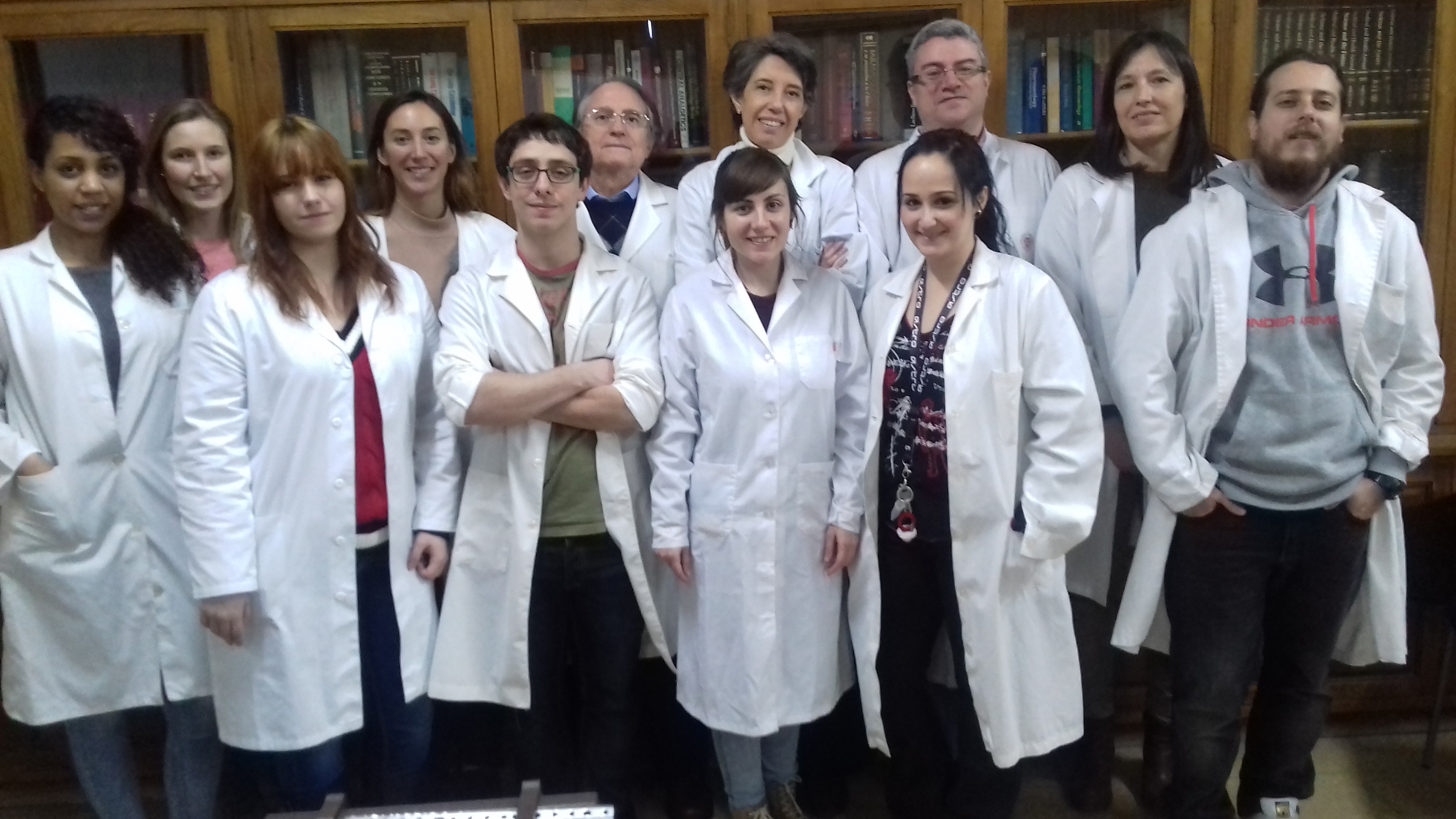 Nuevas pistas sobre la actividad eléctrica del corazón