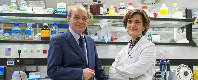 Descubierta una nueva enfermedad hepática causada por una mutación genética