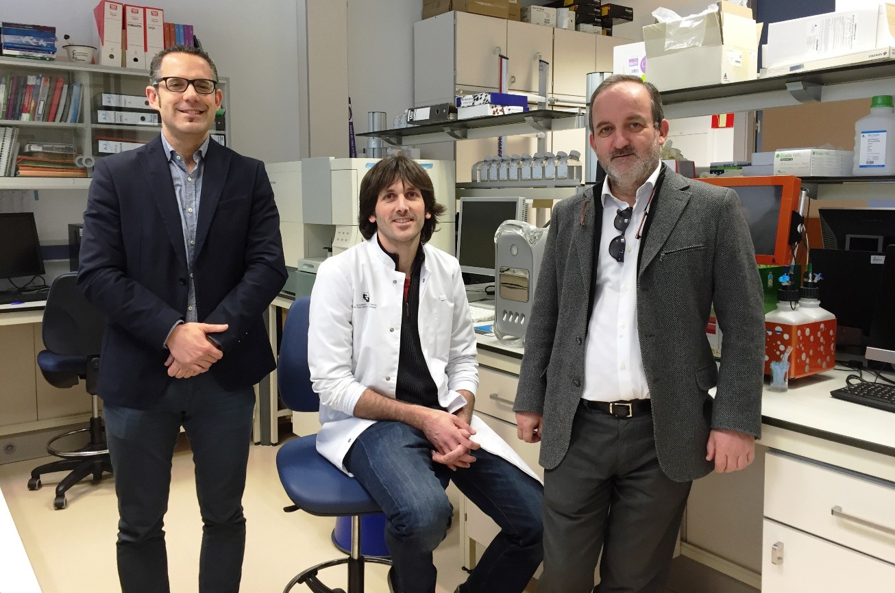 Nuevos dispositivos de gelatina que imitan la actividad del organismo en la regeneración ósea